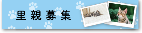 里親募集